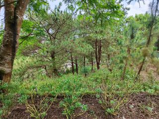 195–378 sqm Residential Lots in Asin, Baguio City |  For Sale - LSS