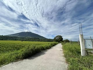 Below Market Value Agricultural Lot for sale in Magalang, Pampanga