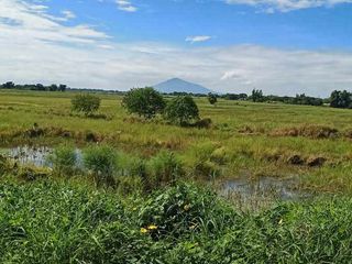 Farm lot for sale in La Paz, Tarlac