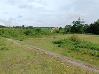FARM LOT FOR SALE IN MABINAY ID 15136