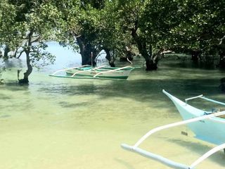 Beach Front in the Island of Romblon is for sale