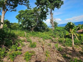 OVERLOOKING SEAVIEW LOT FOR SALE IN GUINDULMAN, BOHOL