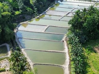 28,698sqm Turnkey Aquaculture Estate at Region 12, SOCCSKSARGEN