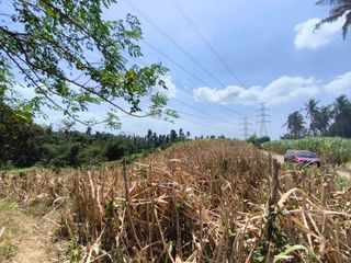 80M | Agricultural Lot in Timbain, Calaca, Batangas For Sale - LSS