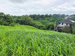 Elevated Lot Ayala Westgrove Heights