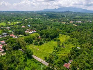 EXPANSIVE FARM PROPERTY | 5.82 Hectares with Fruit-Bearing Trees, Livestock & Existing Villa