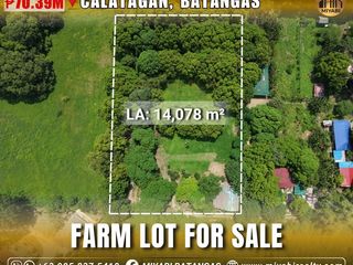 1.4-Hectare Farm Lot with Mango Trees & Houses for Sale in Tanagan Calatagan Batangas RAS