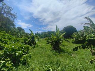 1,200sqm Clean Title Residential Lot Near CaSoBē, Calatagan  For Sale | 2.6M - LSS