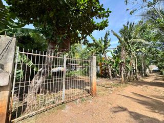Prime 300 sqm Lot for Sale — Tawala, Panglao, Bohol