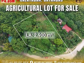 4.35M Agricultural Lot Near Beach and Resorts for Sale Located in Calatagan Batangas RAS