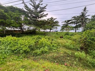 Beach Land at Po-ok, Hinobaan, Negros Occidental