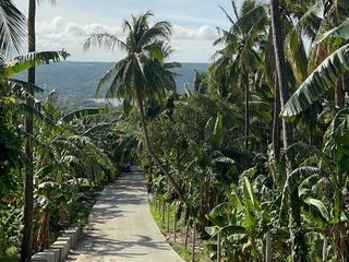 FOR SALE - Vacant Lot in St. Scholastica's College Road, Brgy. Bagbag, Tanauan, Batangas