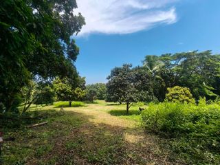 3.6 Hectares Farm land in Lian Batangas nice view