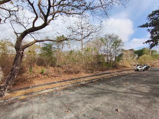 Kawayan Cove The Grove Premium Lot Near Picnic Grove