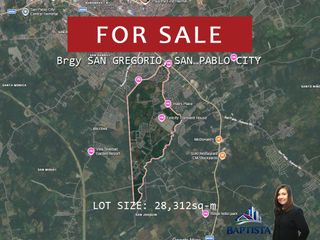 SAN GREGORIO SAN PABLO LOT ALMOST 3 HECTARES