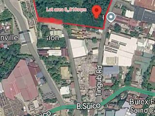 Mandaue City Industrial Land