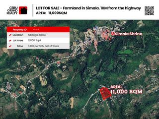 Versatile Development Opportunity Land in Sibonga Cebu