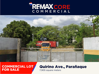 FOR SALE: Commercial Lot near NAIA