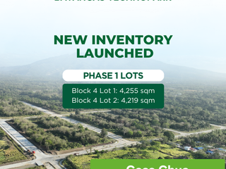 Batangas Industrial lot