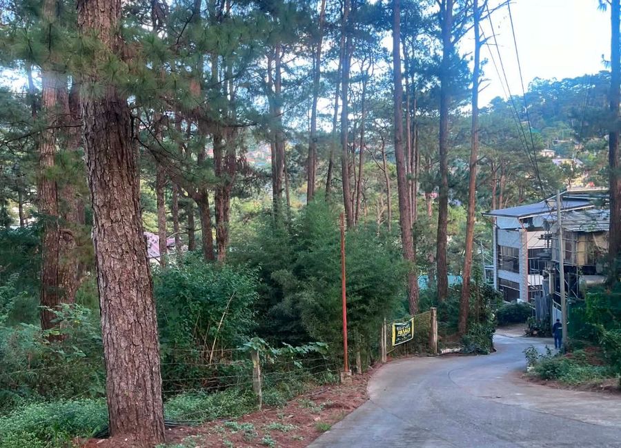 place photo 16