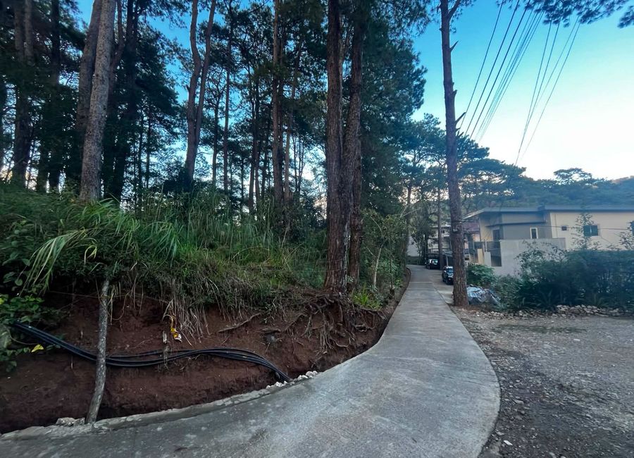 place photo 17