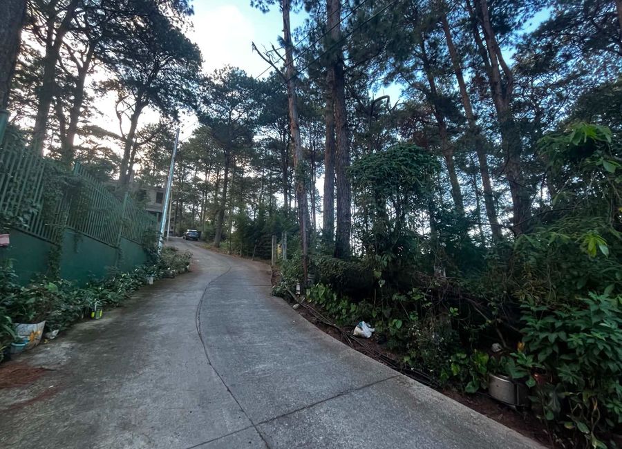 place photo 19