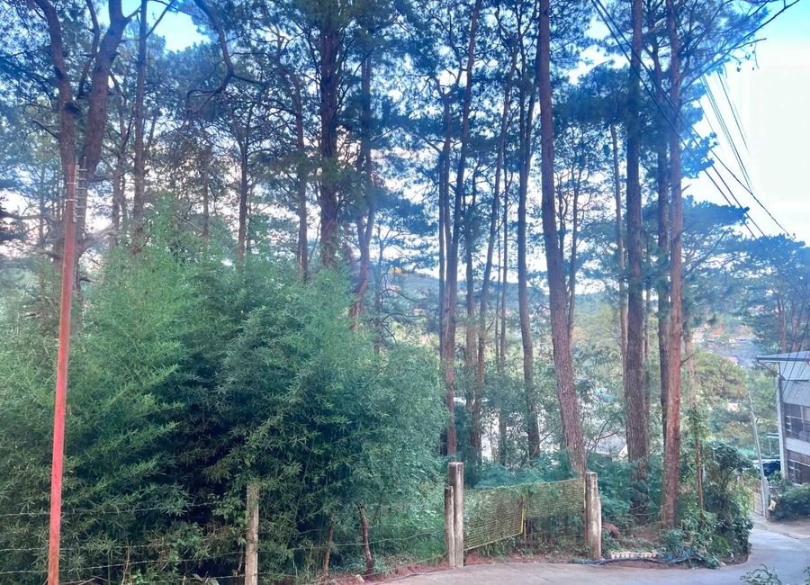 place photo 21