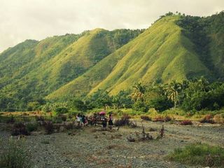 1.8 HECTARES, SACRIFICE SALE