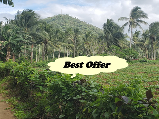 FARM LOT FOR SALE in Laguna Philippines