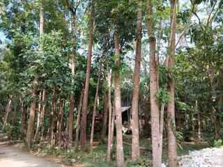 RUSH For Sale Mixed Use Land in Santo Tomas, Batangas