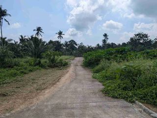 RESIDENTIAL FARM LOT FOR SALE IN AMADEO, CAVITE — AFFORDABLE PRE-SELLING LOTS AT DCV HEIGHTS