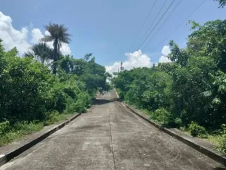 Residential Lot for sale in Compostela, Cebu