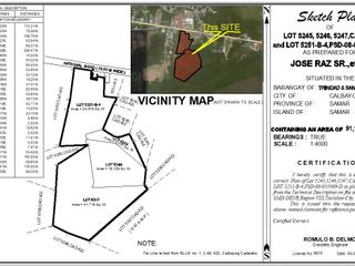 9 hectares (91,142 sqm )for sale along Maharlika Highway Calbayog City Samar