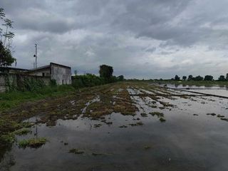 Corazon De Jesus Farm Lot w/ clean title for Sale in Concepcion Tarlac