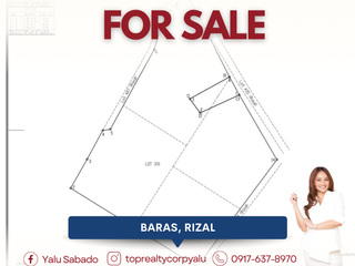 FOR SALE: 2.9-Hectare Lot for Warehouse, Commercial, or Industrial Use in Pinugay Road, Baras, Rizal