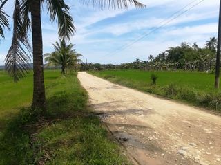 Agricultural lot for sale in Santa Ana, San Franz, Agusan Del Sur