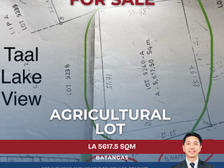 Agricultural Lot with Taal Lake Views in Mataasnakahoy, Batangas