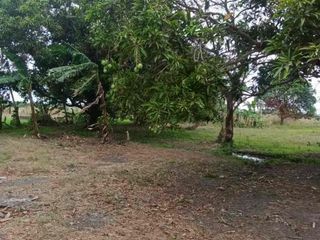 For sale, Rawland fronting SM prop