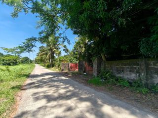 San Pascual Batangas Farm lot for sale 5.8 hectares
