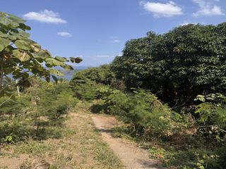 11,131 sqm Beach Lot with Right of Way for Sale in Bauan Batangas