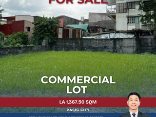 Commercial Lot Near Pasig City Hall