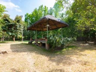 9,277 sqm Farm Lot for Sale in San Pablo Laguna ₱45M