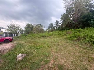 OCEAN VIEW LOT FOR SALE IN DAUIN ID 15124