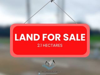 2.1-HECTARE LAND FOR SALE OR LEASE — NUEVA ECIJA