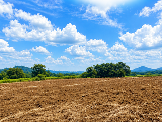 100 000SQM | LOT FOR SALE | BRGY.PUTING-KAHOY | LIAN,BATANGAS
