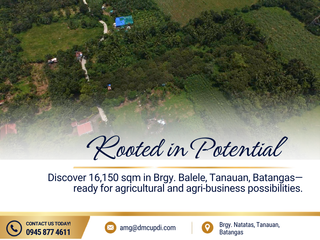 16,150 sqm Farm Land for Sale – Brgy. Natatas, Tanauan, Batangas