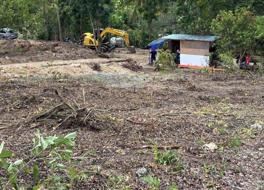 🏡 FOR SALE: 1,292 SQM TITLED LOT IN BACLAYON, BOHOL