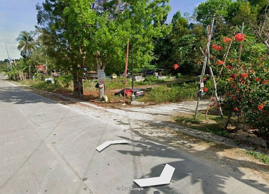 🏡 FOR SALE: 1,292 SQM TITLED LOT IN BACLAYON, BOHOL