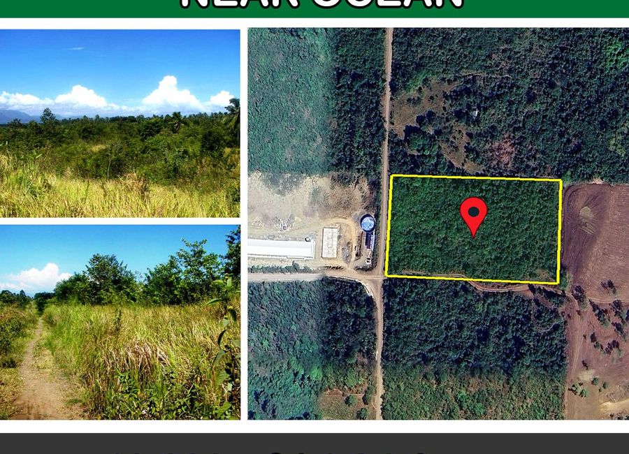 Tropical Leisure Farm Near Ocean