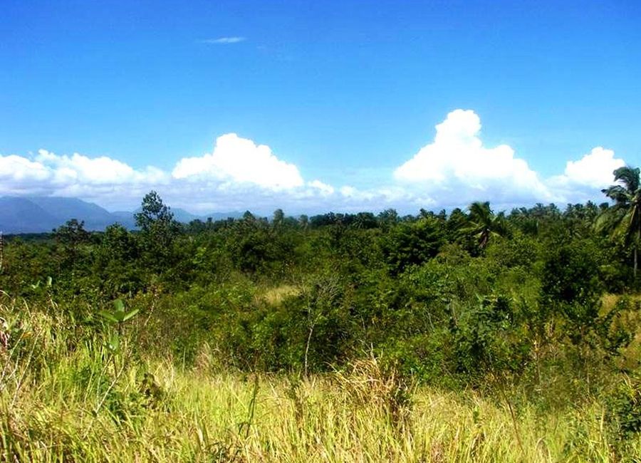 Tropical Leisure Farm Near Ocean